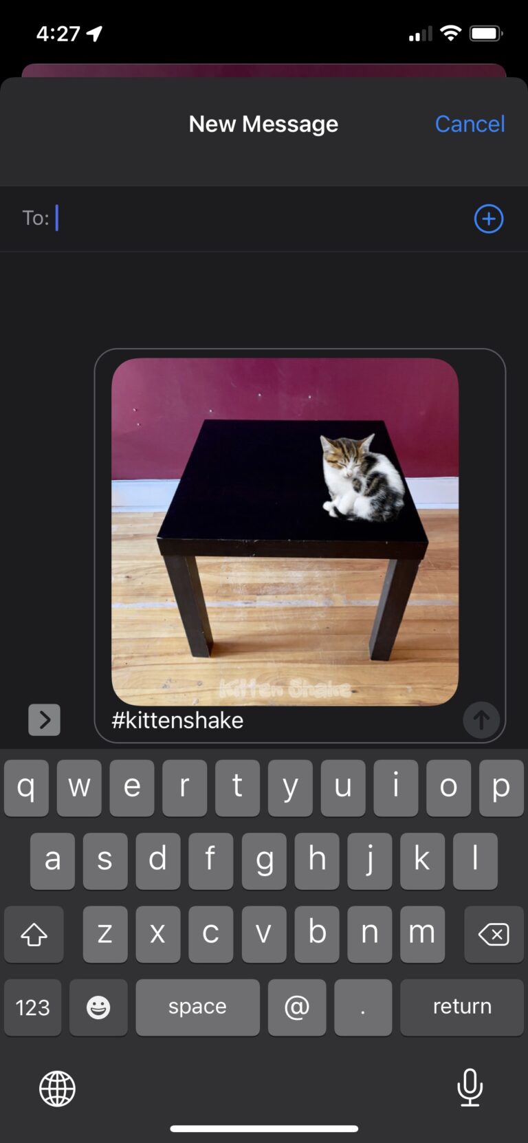 Here, the photo is shared via messages. The hashtag is automatically included.