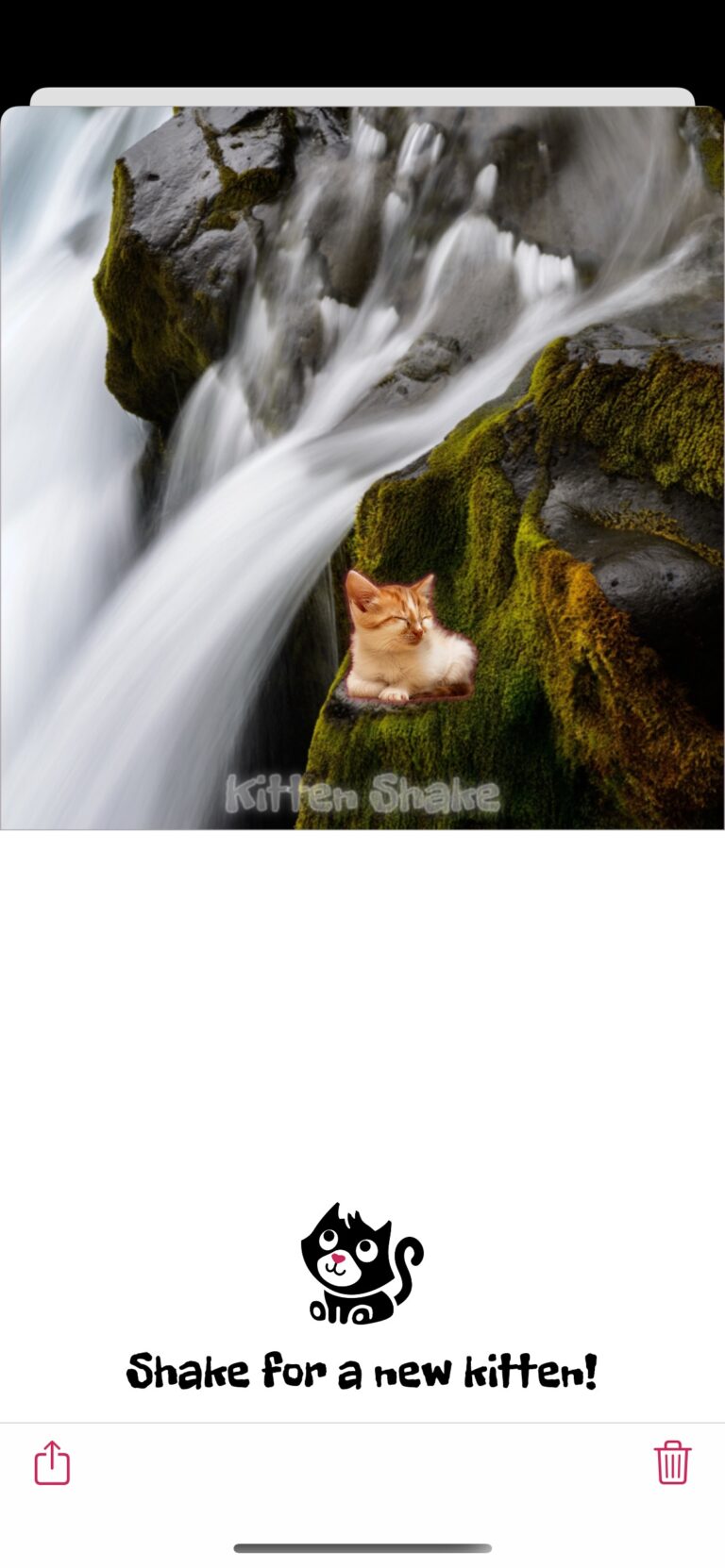 If you don't like the kitten, you can shake your device for a new kitten. Each new kitten presented will "meow". If you shake the device enough, the kittens may not enjoy it and make a different sound.